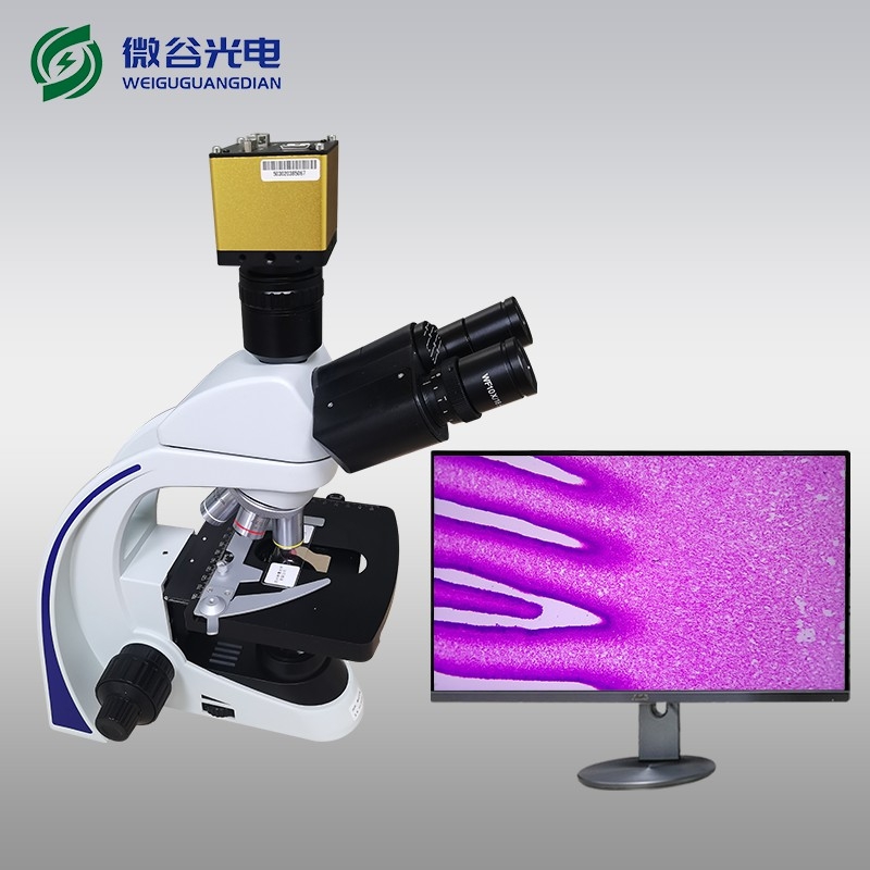 生物光学显微镜的使用及维护