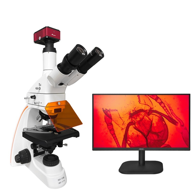 正置荧光生物显微镜WG-ZY2801